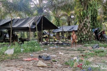 Tanah adat terancam, warga Segun komit tak terjebak janji manis investor sawit