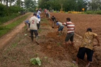 BBWS Lampung sebut program padat karya mampu serap 8.000 pekerja