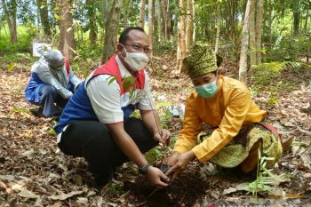 Berwisata sambil belajar di Arboretum Gambut Marsawa