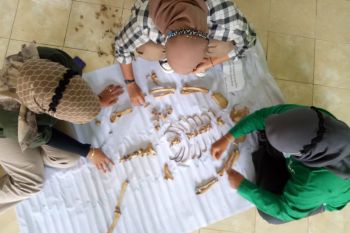 Ini dilakukan mahasiswa UMSB saat PKL di Resor KSDA Agam, terkait hewan langka