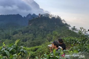 Kulon Progo perpanjang penutupan sementara objek wisata