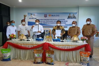 Bulog Sultra - Pemkab Butur kerja sama salurkan beras ASN