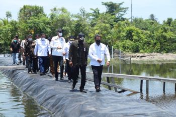 Budi daya udang vaname dongkrak perekonomian masyarakat Aceh