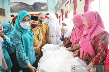 Emiko Epyardi Asda harapkan TP PKK kecamatan hasilkan minimal satu produk unggulan