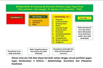 Dinkes: zona kuning penyebaran COVID-19 di Lampung bertambah tujuh