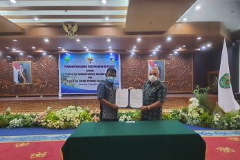 Sulteng-Kaltim  kerja sama pemenuhan logistik dan perdagangan