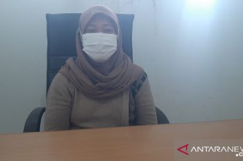 Pemkab Bangka kembangkan integrasi sapi sawit