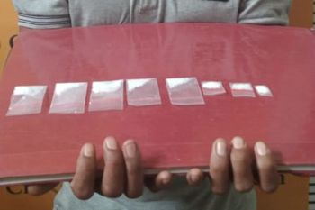 Polisi tangkap IRT edarkan sabu-sabu