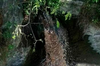 Pencemaran Bengawan Solo berasal dari limbah industri ciu