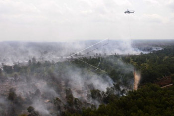 Sumsel waspadai karhutla hingga akhir September 2021