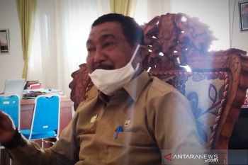 Palangka Raya bentuk satgas kelurahan penanganan kekerasan perempuan dan anak