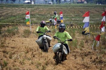 Lomba balap sepeda motor gabah