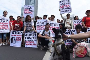 Jakarta Barat pantau pasar antisipasi beredarnya penjualan daging anjing