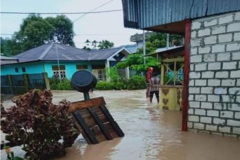 BPBD Papua: Lima kampung di Yapen Selatan direndam banjir