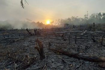 Karhutla di OKU capai  25,8 hektare selama Juni-Juli 2021