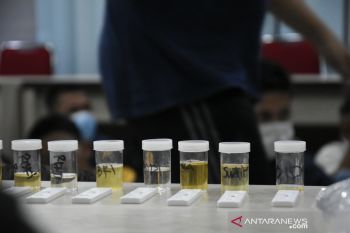Polisi limpahkan proses hukum  pengunjung klub malam Palembang ke BNN