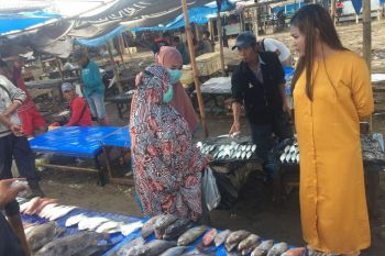 Cuaca buruk akibatkan harga ikan melonjak di TPI Beba Takalar