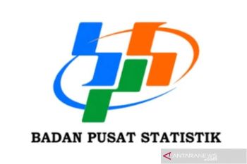BPS alokasikan mayoritas anggaran 2027 untuk satker daerah