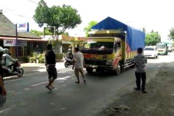 Peternak ayam petelur di Lotim sweeping truk dari Bali dan Jawa