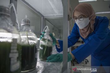 Artikel - Kandungan etanol dalam BBM untuk transisi energi