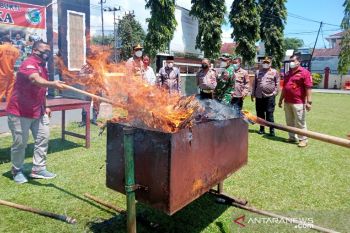 Polres Pasaman musnahkan 18 paket besar ganja hasil penangkapan kurir narkoba lintas provinsi (Video)