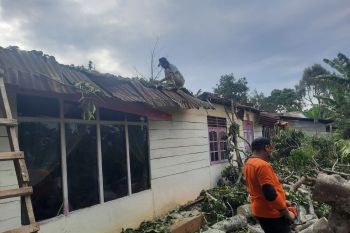Angin kencang landa Bukittinggi tumbangkan pohon tua, satu rumah nyaris hancur ditimpanya