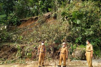 Wakil Bupati Pesisir Barat tinjau tanah longsor di Pekon Malaya