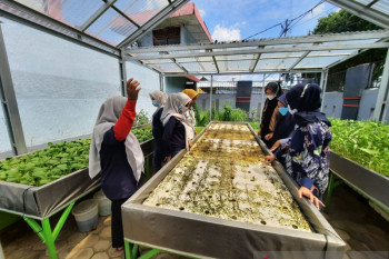Pertamina tingkatkan keterampilan penghuni Lapas Perempuan bertani hidroponik