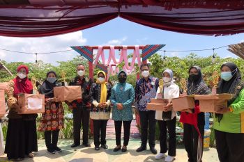 Pemkab Pringsewu gelar Lomba Cipta Menu B2SA