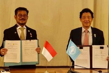 Kementan RI dan FAO perkuat Kerja Sama Selatan-Selatan dan Triangular