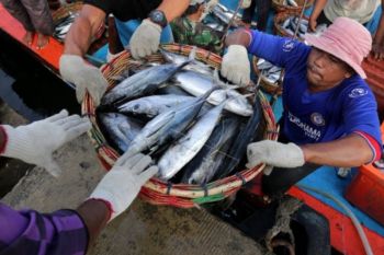 DIY bentuk 34 desa maritim meningkatkan ekonomi warga pesisir selatan