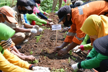 Pemkot Jaksel bangun dua taman baru di Kebagusan dan Panglima Polim