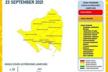 Dinkes laporkan kasus harian COVID-19 di Lampung bertambah 52