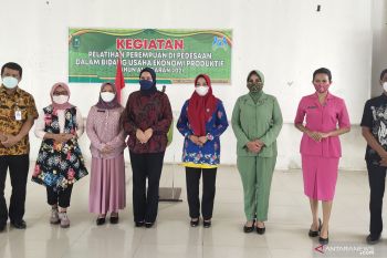 25 perempuan ikuti pelatihan usaha ekonomi produktif