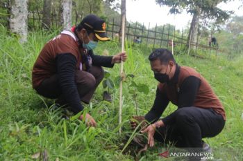 Pramuka NTB mendukung Tetebatu jadi desa wisata terbaik dunia