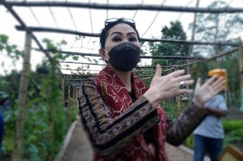 Dekranasda NTT dorong milenial jadi pelopor wirausaha