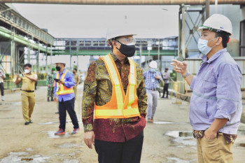 Dewan Energi Nasional dorong pembangunan smelter nikel di Indonesia