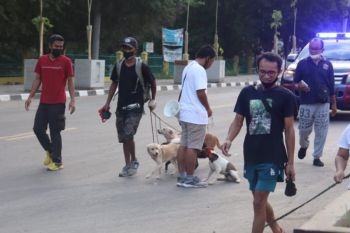 DPKH Mabar: Capaian vaksinasi rabies sudah 80 persen