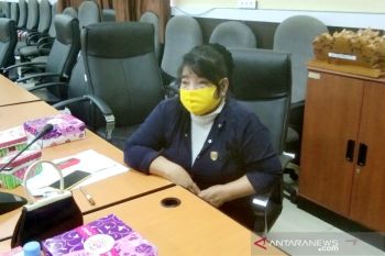 Legislator Seruyan soroti harga karet yang kerap tidak stabil