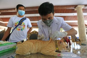 Vaksin rabies gratis di Indramayu