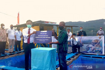 BI Provinsi Maluku bantu kelompok budidaya keramba di Ambon
