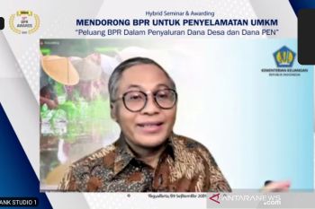 Kemenkeu sebut 367 BPR manfaatkan penempatan dana pemerintah di perbankan