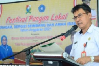 Pemkab Majene mendorong masyarakat kembangkan pangan lokal