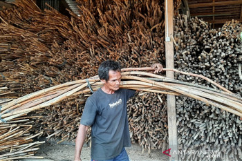 Bisnis rotan di Aceh berjalan normal di tengah pandemi