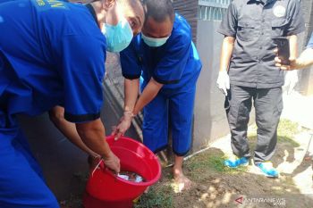 Petugas BNNP NTB musnahkan 7 ons sabu asal Batam