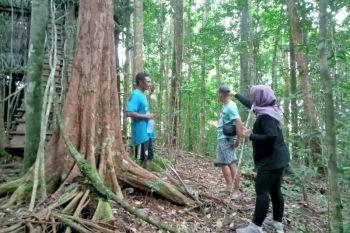 575 hektare area di cagar alam Waigeo Barat dijadikan hutan produksi