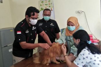 Vaksinasi rabies disambut antusias pemilik kucing dan anjing di Kudus