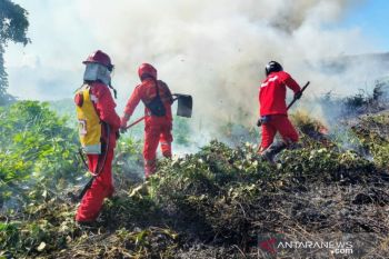 Manggala Agni Sultra dan kepolisian padamkan karhutla 12 hektare