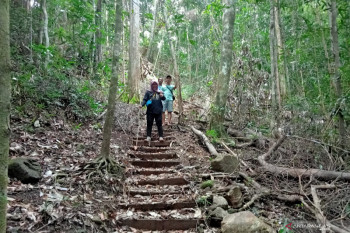Seluas 575 Ha area di cagar alam Waigeo Barat dijadikan hutan produksi