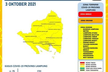 Dinkes catat 25 orang penambahan kasus COVID-19 di Lampung